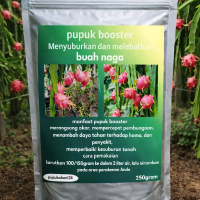 pupuk booster buah naga pupuk pelebat buah