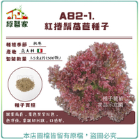 【綠藝家】A82-1.紅捲鬚萵苣種子1.5克(約1500顆)