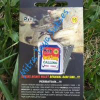 Suara Burung Walet Piro Panggil Calling