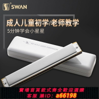 【台灣公司 可開發票】天鵝口琴28孔口琴C調復音口琴 28孔重音口琴 送禮物
