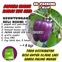 benih paprika unggu know you seed