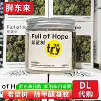 胖東來代購 希望樹除甲醛神器新房除甲醛凝膠車用家用淨化空氣