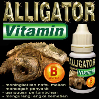 ALLIGATOR VITAMIN CAIR OBAT KURA-KURA AIR ALIGATOR SNAPPING TURTLE AST CST MENCEGAH PENYAKIT MENAMBA