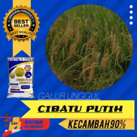 Benih padi cibatu putih kemasan 1kg