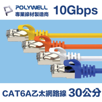 POLYWELL CAT6A 超高速乙太網路線 S/FTP 10Gbps 30公分 黑色