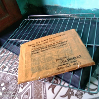 tray oven modena stainless