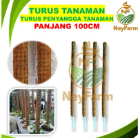 Turus Tanaman 100 cm Rambatan Penyangga Tanaman Menjalar Janda bolong, Sirih Cincau Sabut kelapa 100