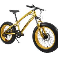 20 Inch Fat Bike 4.0 Fat Tire Bicycle Children Beach Snow Bike 7/21/24/27 Speed Mountain Bicycle For Kid Steel Moutain Bike 16kg