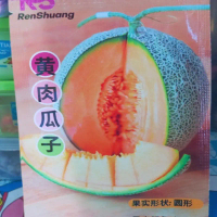 Biji benih melon daging orange berkualitas tinggi kemasan premium bibit segar dan manis untuk hasil 