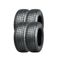 【NANKANG 南港輪胎】AT-5 操控性能輪胎215/65R/16C 4入組