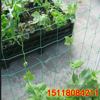 園藝爬藤網 尼龍網 蔬菜瓜果百香果絲瓜黃瓜葡萄爬藤網架種植網