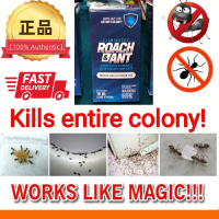 Original‼️Roach & ANT, roachbuster .. Bait kills cockroaches and ants .. original Roach & ant bait, 