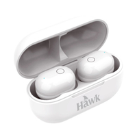 Hawk 真無線藍芽耳機(ATW768) [大買家]
