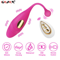 Panties Wireless Remote Control Vibrator Vibrating Eggs Wearable Chinese Balls G Spot Clitoris Massager Adult Sex Toy for Women