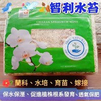 乾燥水苔的價格推薦 21年7月 比價比個夠biggo
