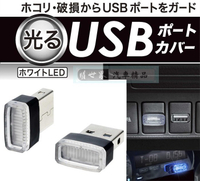 權世界@汽車用品 日本SEIKO車用/家用 USB防塵塞式 裝飾氣氛燈 小夜燈 2入組 EL-168