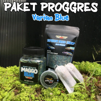 Paket Proggres Channa Varian Blue Pigment Kutuk Texas Channa Biru Andrao, Stewarti, Limbata, Blue Pu