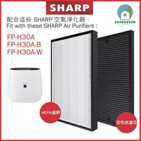 EVERGREEN 適用於Sharp FP-H30A FP-H30A-B FP-H30A-W 空氣清新機 淨化器 備用過濾器套件替換用