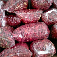 CABE KERING JAPLAK GRADE A PEDAS