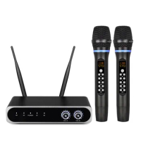 Professional UHF Wireless Microphone System Dual Channels Handheld Karaoke Singing Stage Performance Wedding Home New Design