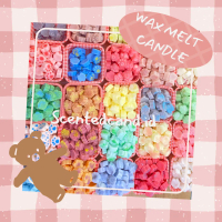 PAW MELT WAX CANDLE SCENTEDCANDLES (SCENTED CAND) | lilin aromaterapi bentuk pembakaran dengan tungk