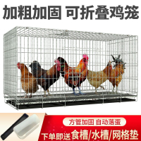 🔥快速出貨 雞籠子大號特大養殖籠自動清糞雞籠家用家庭雞籠多層雞籠鴨鵝兔籠