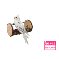 【香濃寵物】鳥益智創意站桿玩具 花椒木松木(鸚鵡玩具、鳥用品、鸚鵡用品、啃咬玩具)