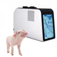 African Swine Fever Pet Dog Cat IVD Clinical Diagnosis RT PCR Veterinary Pcr Test Machine Instrument