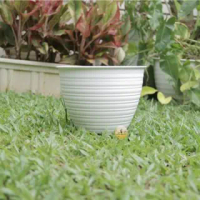 (TERMURAH) Pot tawon madu putih / pot tawon putih / pot bunga / pot tanaman / pot murah