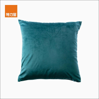 【特力屋】荷蘭絨素色抱枕套45x45cm-藍綠