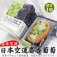 【天天果園】日本空運溫室麝香葡萄1串禮盒X4盒(每串450-500g)