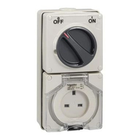 Schneider S56C313GY Switch Socket 13A 250V 3phase 3pole flat pin IP66 grey