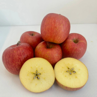 【CB果物】日本青森縣產 蜜富士蘋果40顆 原裝箱11kg±10%(青森蘋果)