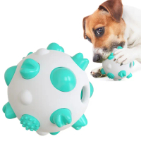 【發洩玩具】寵物耐啃咬潔牙球(狗玩具 寵物玩具 幼犬 訓練球 玩具球 牙刷 磨牙棒 潔牙骨)