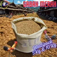 Gabah Merah Ayam Bangkok Kemasan Multipack 5Kg & 10Kg
