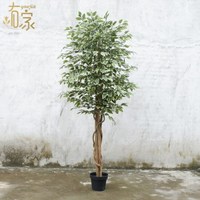 🔥快速出貨 可開發票 工廠直銷仿真榕樹綠植盆栽客廳室內白邊榕盆景商場酒店假綠植批發