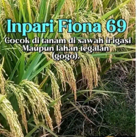 Inpari Fiona 69 - Bibit Padi Cocok untuk Sawah Irigasi & Lahan Tegalan Gogo