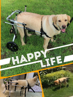 狗狗癱瘓輪椅車金毛后腿殘疾代步車中大型老年犬輔助支架不誤排便