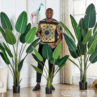 大型北歐旅人蕉仿真綠植天堂鳥盆栽龜背竹客廳ins風植物桌面盆景NMS 【林之舍】