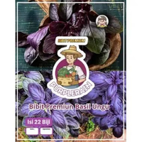 Bibit Premium Basil Ungu | Benih Basil Ungu Herbal