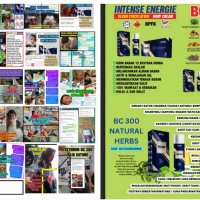 FLYERS TESTIMONI SAIZ A4 BC300 BRAVO