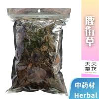 鹿衔草 100克 Pyrola 100G 中草药 天天草药 CHINESE HERBAL TIAN TIAN HERBS