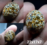 Natural Batu Akik Jasper Garut Klawing Motif Gambar Telur Kodok Antik7