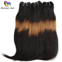 3 Tone Ombre Double Drawn Funmi Human Hair Straight Hair Curve Ends Brazilian Hair Bundles 1b271B Remy Human Hair 3pcs/pack