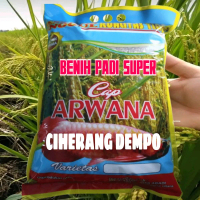 COD 1KG Benih Padi CIHERANG DEMPO Bibit Unggul Tahan Hama Kwalitas Terbaik Tanaman Padi Berkualitas 