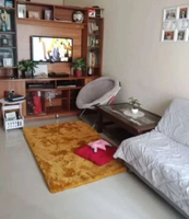Karpet Bulu Karpet Bulu Halus Tikar Lantai Bulu Karpet Lantai Karpet Warna Coklat