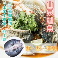 【好味市集】宜蘭山泉水養殖鱸魚(500~600g)