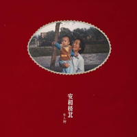 【停看聽音響唱片】【黑膠LP】宋冬野：安和橋北 (2LP)