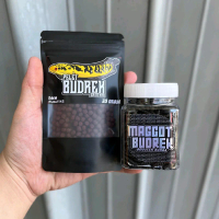 Paket Budrek Maru [Pelet Budrek Maru X Maggot Budrek] untuk proges bunga dan warna channa maru Red d