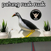 patung burung ruak ruak wak wak